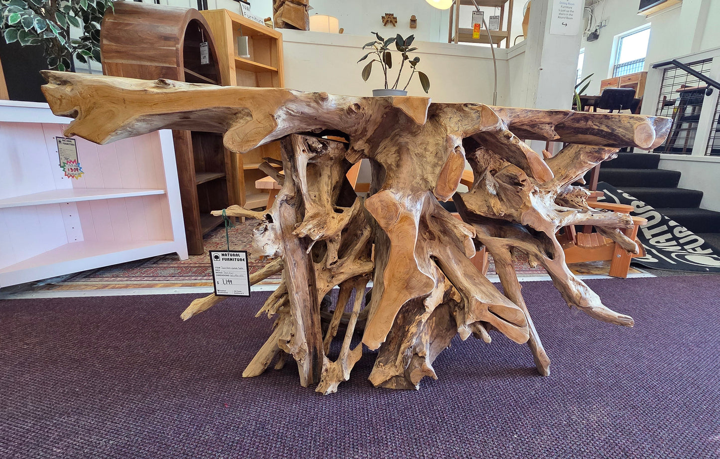 Tropical Teak Root Console Table
