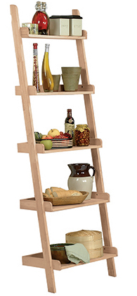 Accessory Ladder